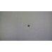 CLANSMAN BOWMAN SPRING WASHER M2 STAINLESS STEEL BLACKED